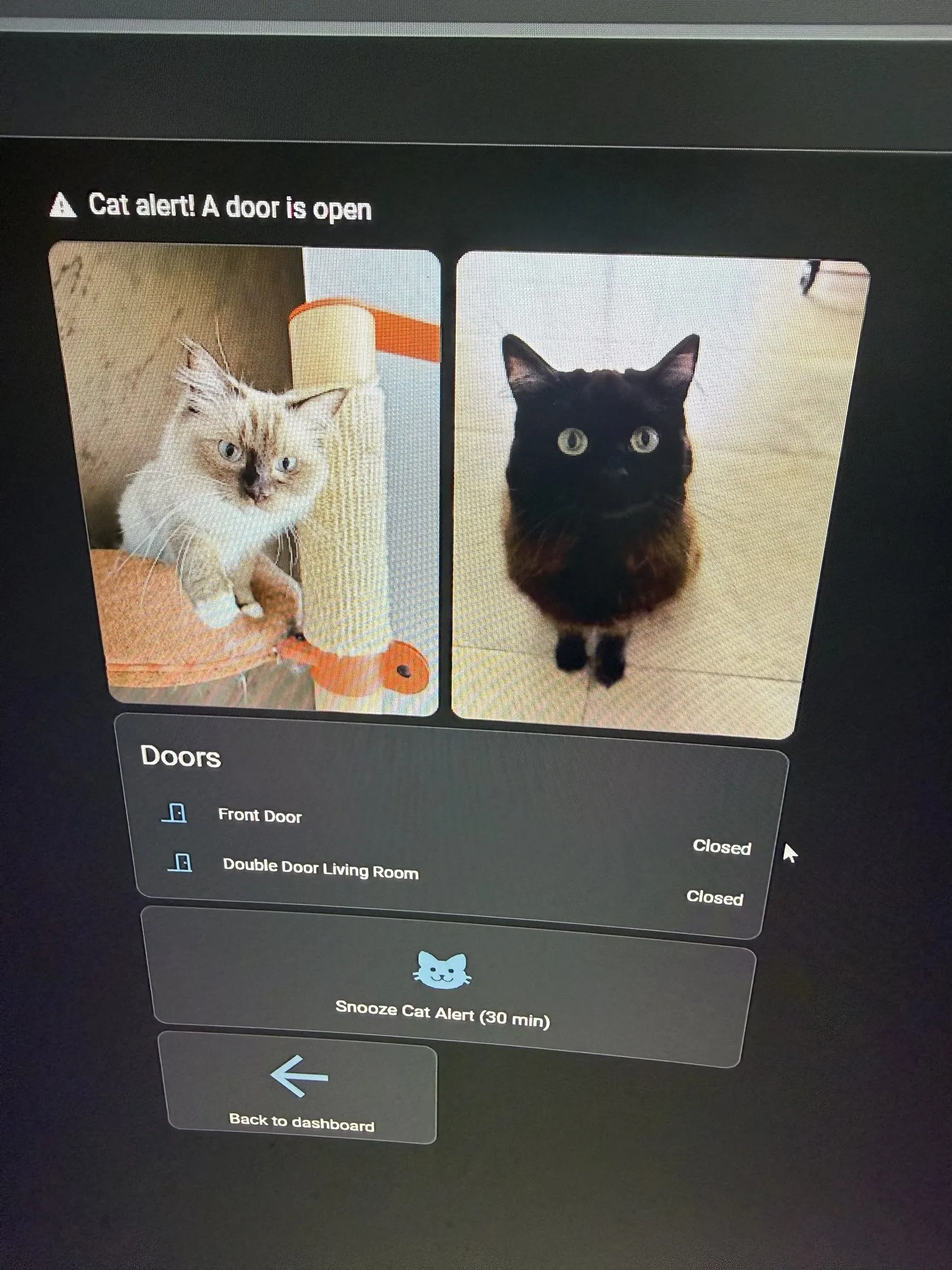 The Cat Alert view on the wall tablet: warning heading, photos of Alfie and Shaniqua, door status and snooze button